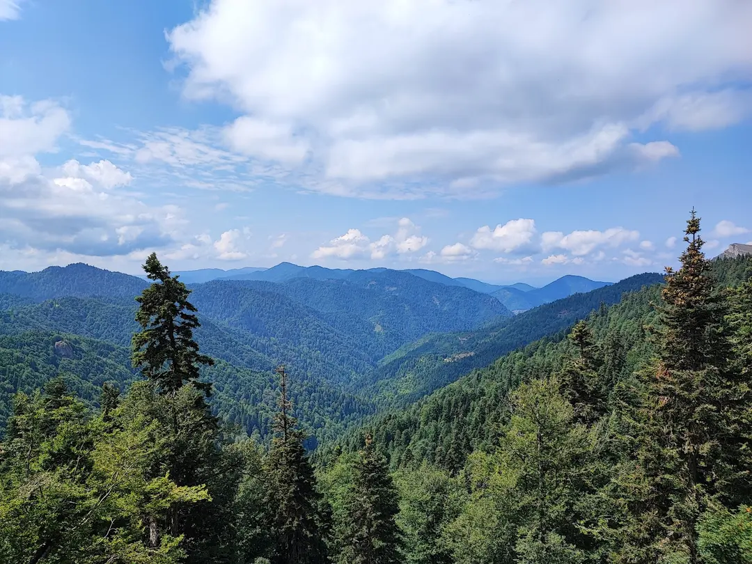Yedigöller Ayıkayasısı Nature Park-Çadırlı Camping and Caravan Area- Fire Picnic Area — Bolu — küçük resim 2
