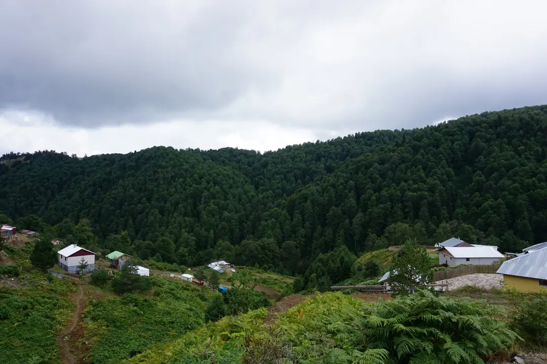 Yedigöller Ayıkayasısı Nature Park-Çadırlı Camping and Caravan Area- Fire Picnic Area — Bolu — küçük resim 5