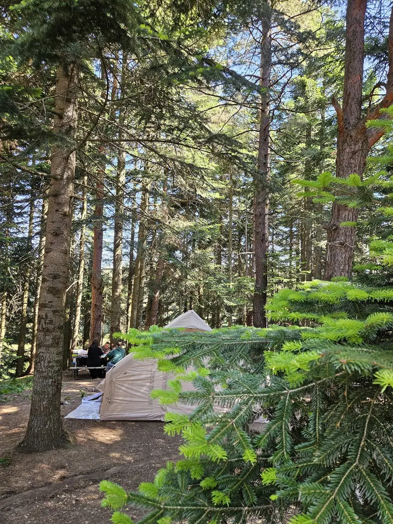 Abant Tent Camping Area — Bolu — küçük resim 8