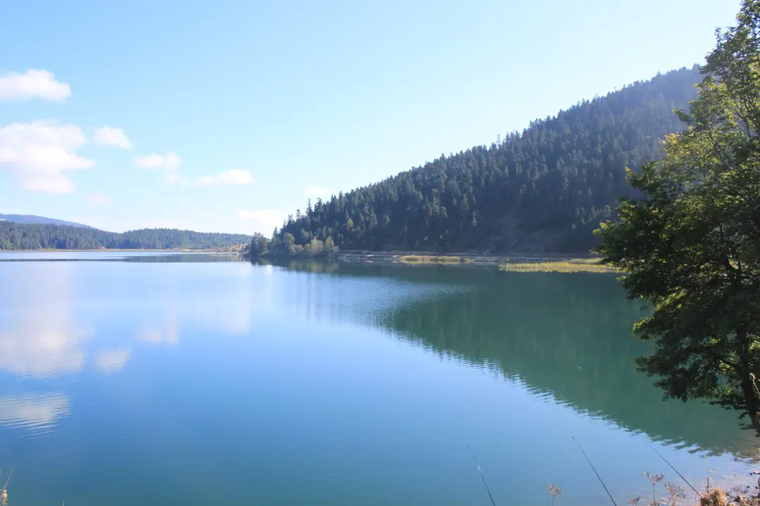 Abant Tent Camping Area — Bolu — küçük resim 7