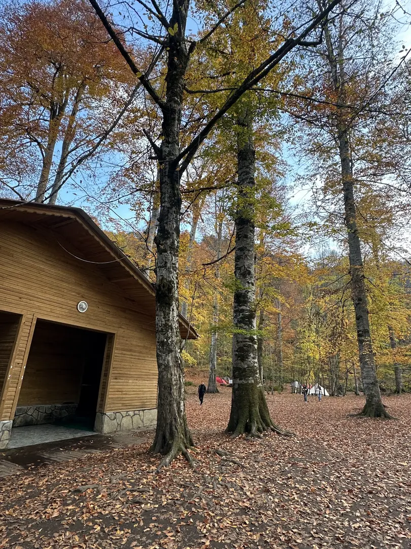 Nazlı Göl Çadır Kamp alanı — Bolu — küçük resim 9