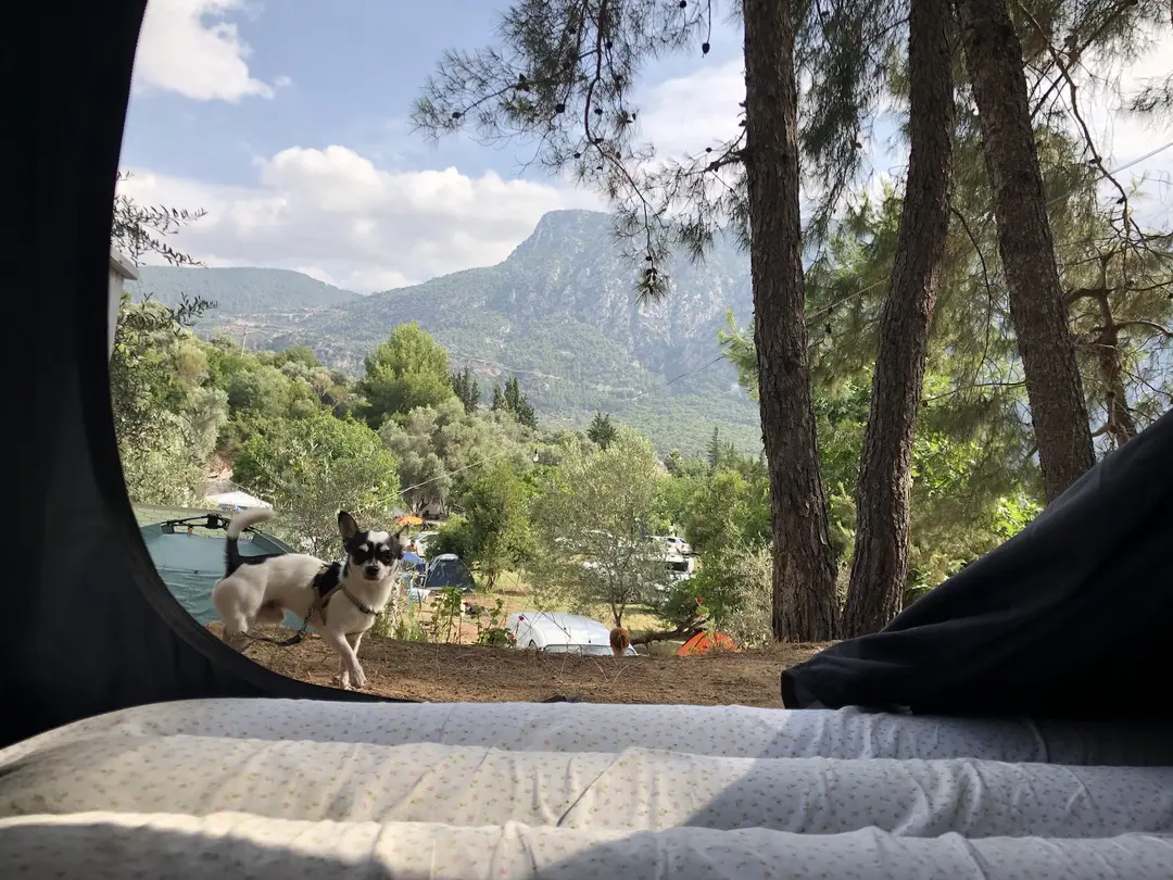 Akbükdiem Camping — Muğla — küçük resim 8
