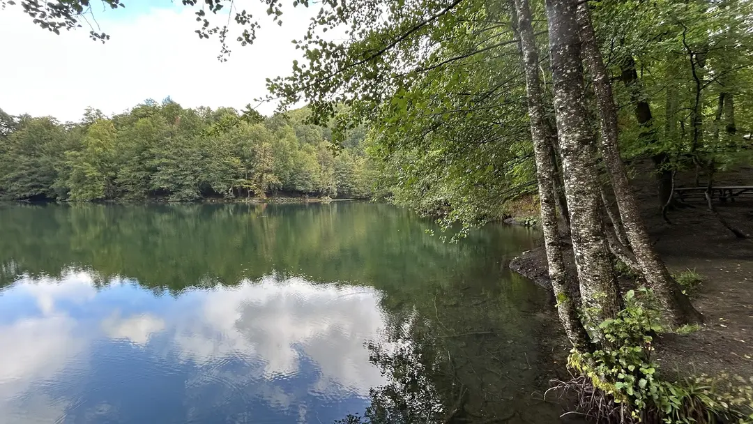 Yedigöller National Park — Bolu — küçük resim 6