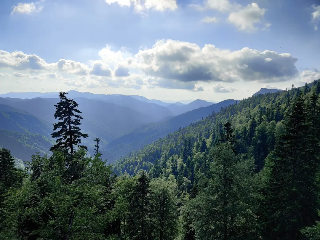 Yedigöller National Park — Bolu — küçük resim 8