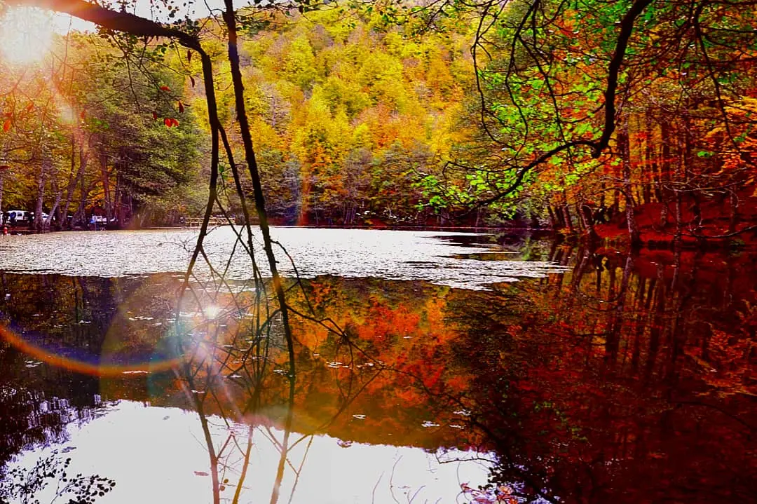 Yedigöller National Park — Bolu — küçük resim 7