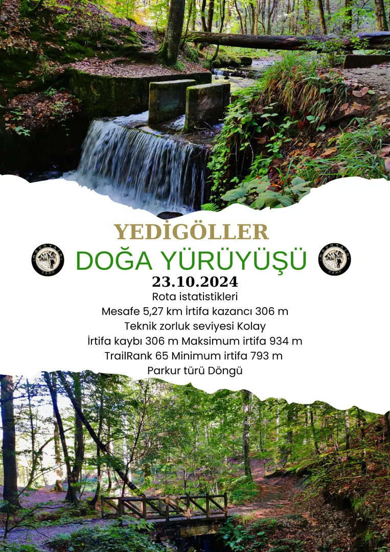 Yedigöller National Park — Bolu — küçük resim 5