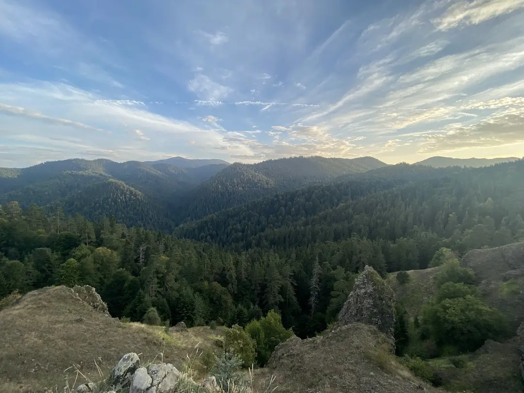 Yedigöller National Park — Bolu — küçük resim 4