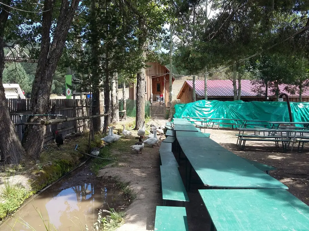 Centro de Campamento y Formación Tevfik Rüsdü Günday — Bolu — küçük resim 2