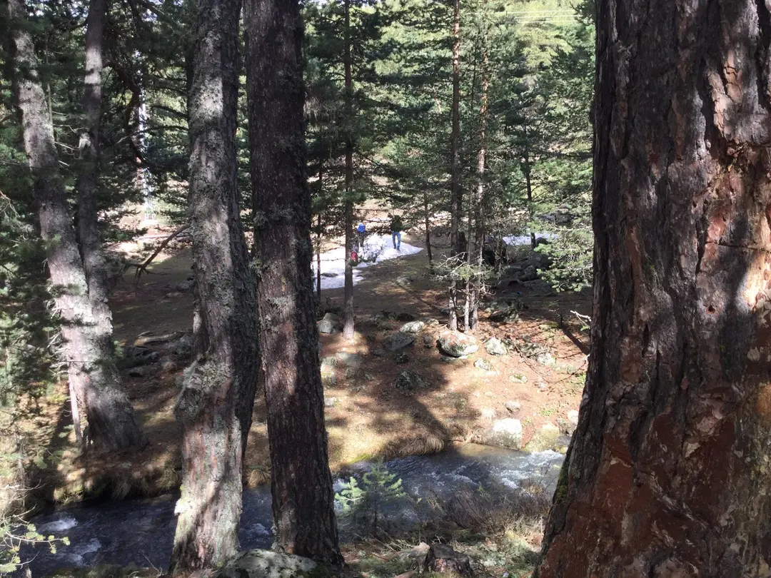 Centro de Campamento y Formación Tevfik Rüsdü Günday — Bolu — küçük resim 3
