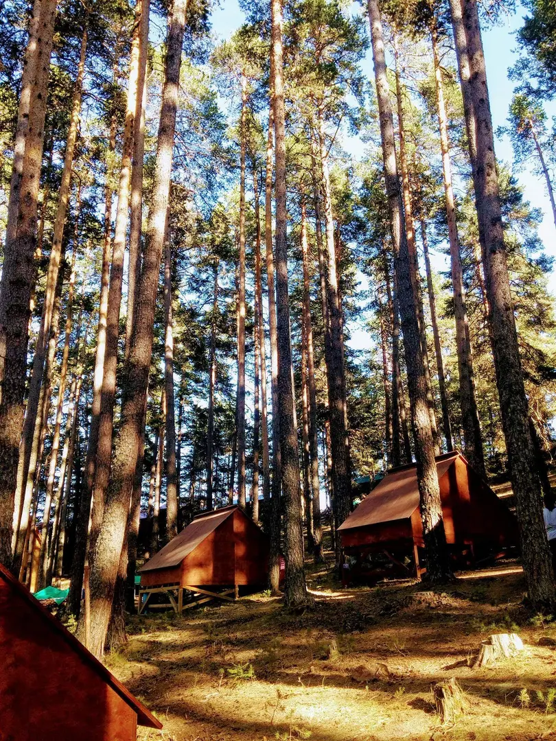 TEVFIK R. GÜNDAY Bolu Izci Camp — Bolu — küçük resim 7