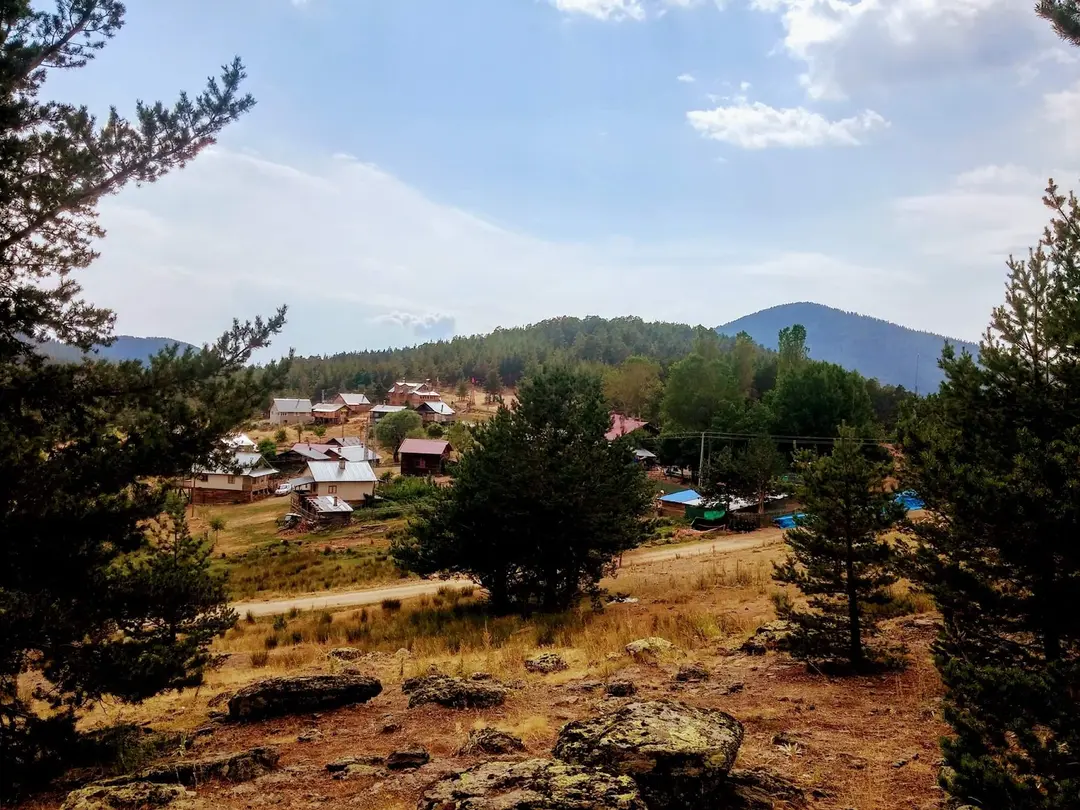 TEVFIK R. GÜNDAY Bolu Izci Camp — Bolu — küçük resim 5