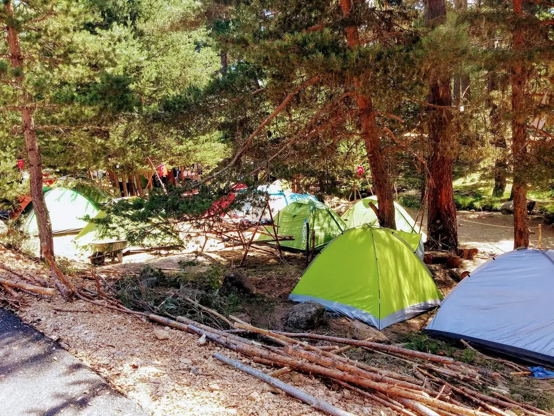TEVFIK R. GÜNDAY Bolu Izci Camp — Bolu — küçük resim 4