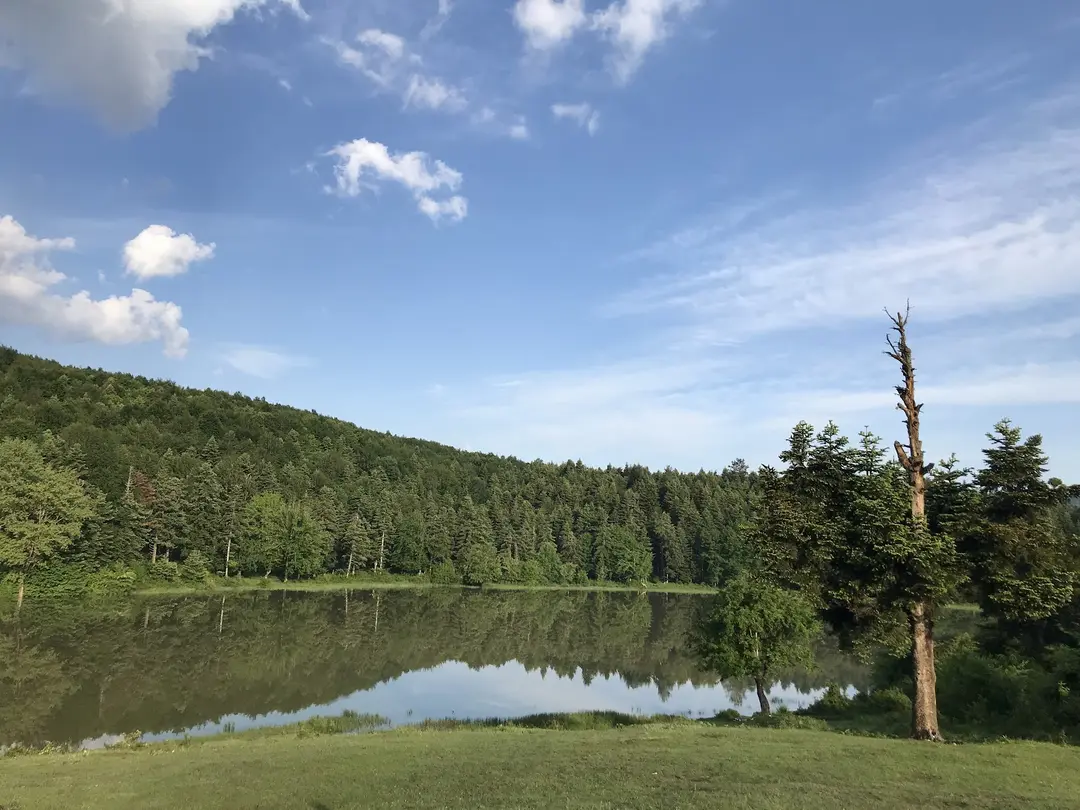 At Yaylası — Bolu — küçük resim 8