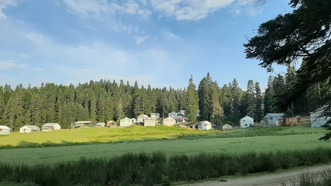 Sinekli Yaylası — Bolu — küçük resim 2