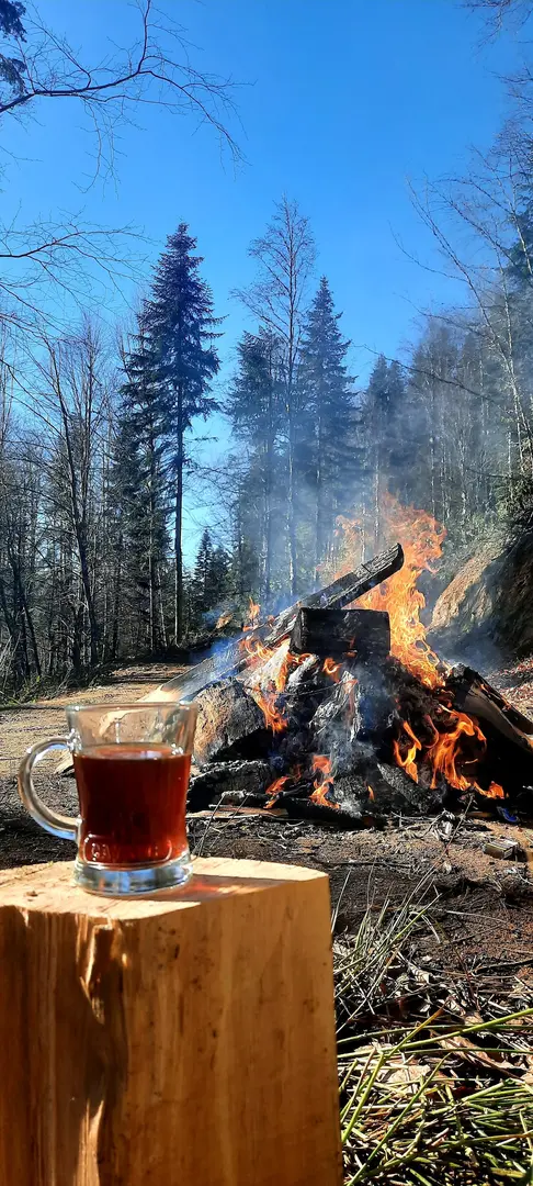 Sinekli Yaylası — Bolu — küçük resim 7