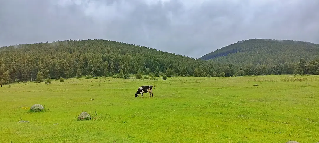 Aladağ Kamp Eğitim Merkezi — Bolu — küçük resim 5