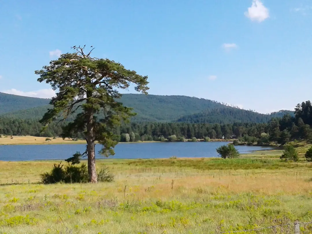 Aladağ Kamp Eğitim Merkezi — Bolu — küçük resim 7