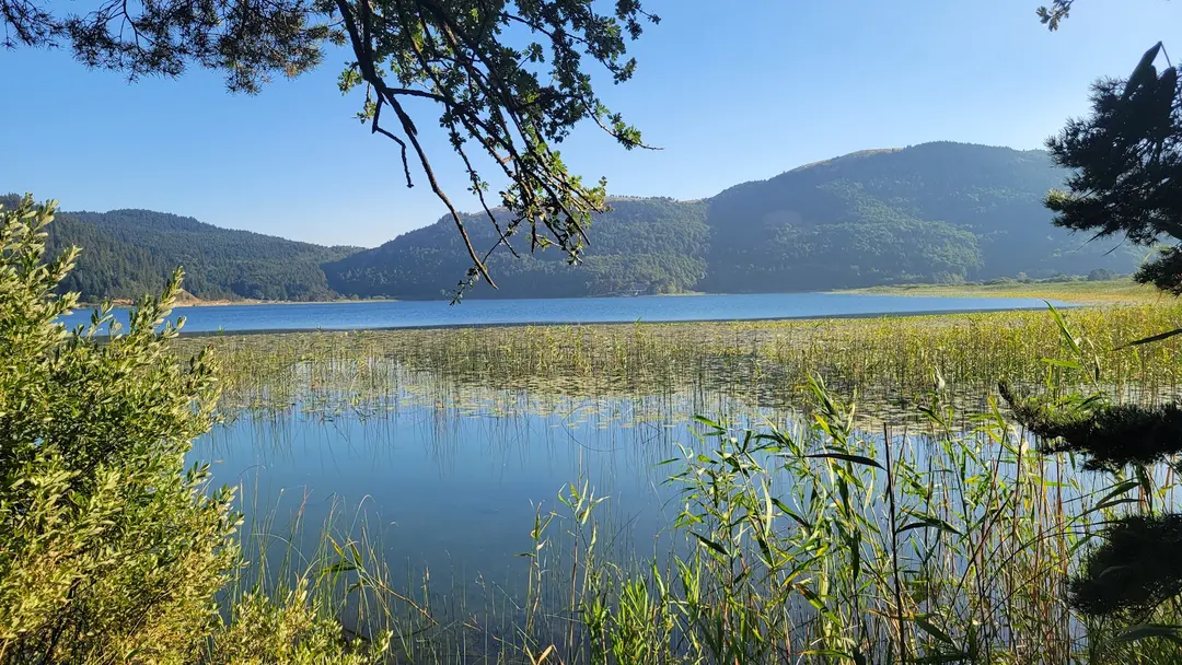 CVS Natural Park & Área de Camping de Caravanas y Tiendas — Bolu — küçük resim 8