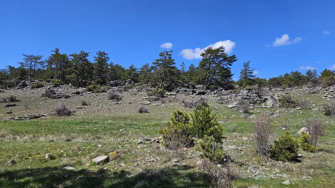 Bedesten Yaylası Nature Camping Area — Bolu — küçük resim 2