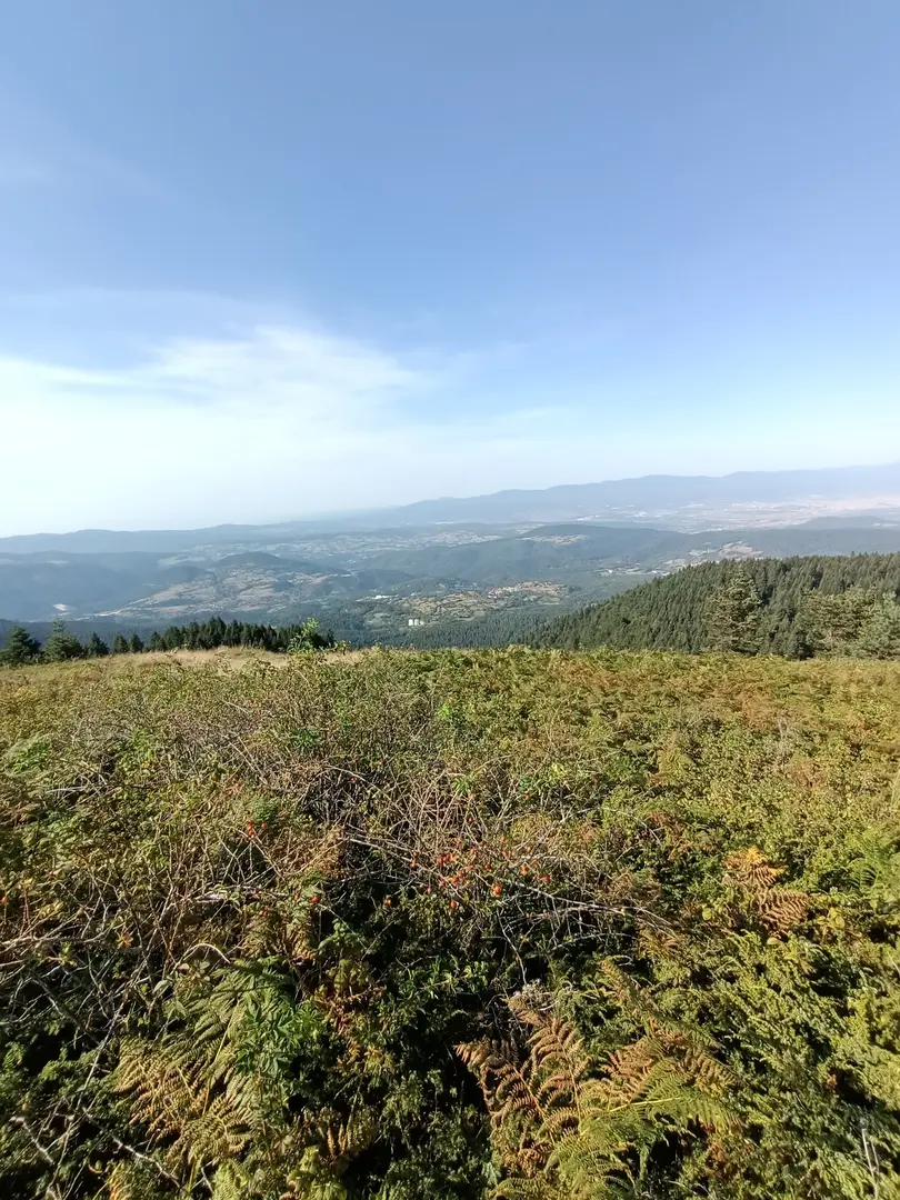 Çepni Yaylası — Bolu — küçük resim 4