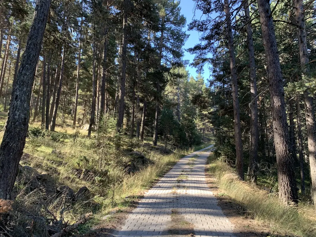 Eğriova Tabiat Parkı — Bolu — küçük resim 9