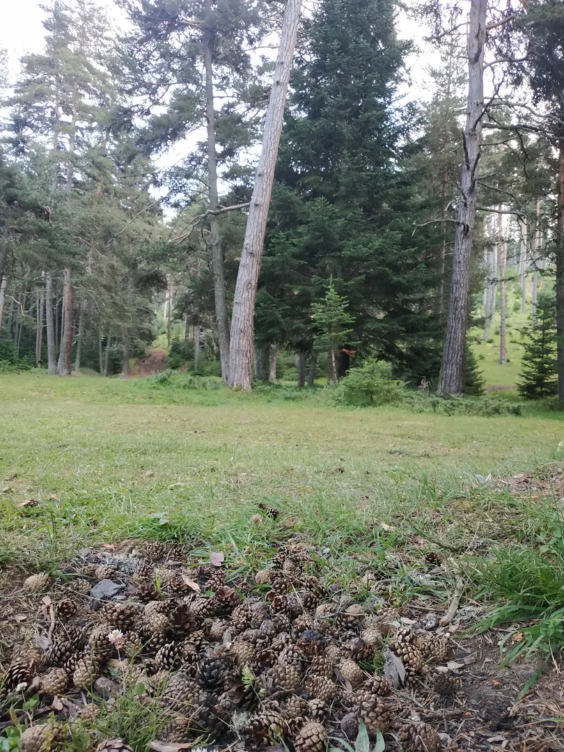 Bolu Aladağlar — Bolu — küçük resim 10