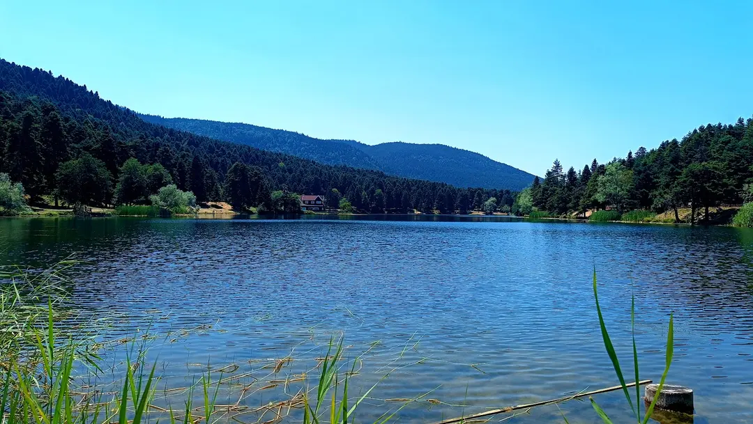Gölcük Mesire Yeri — Bolu — küçük resim 3