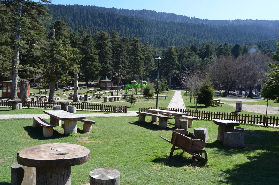 Gölcük Mesire Yeri — Bolu — küçük resim 9