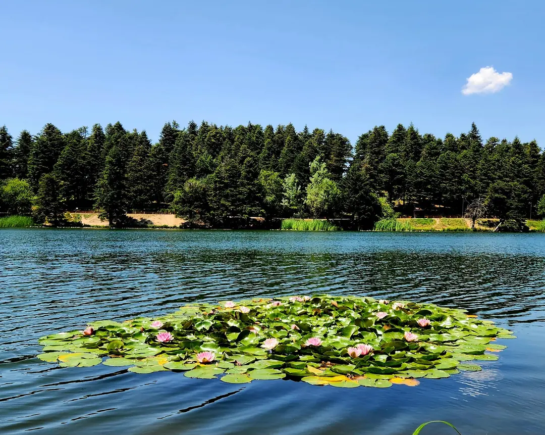 Gölcük Mesire Yeri — Bolu — küçük resim 8