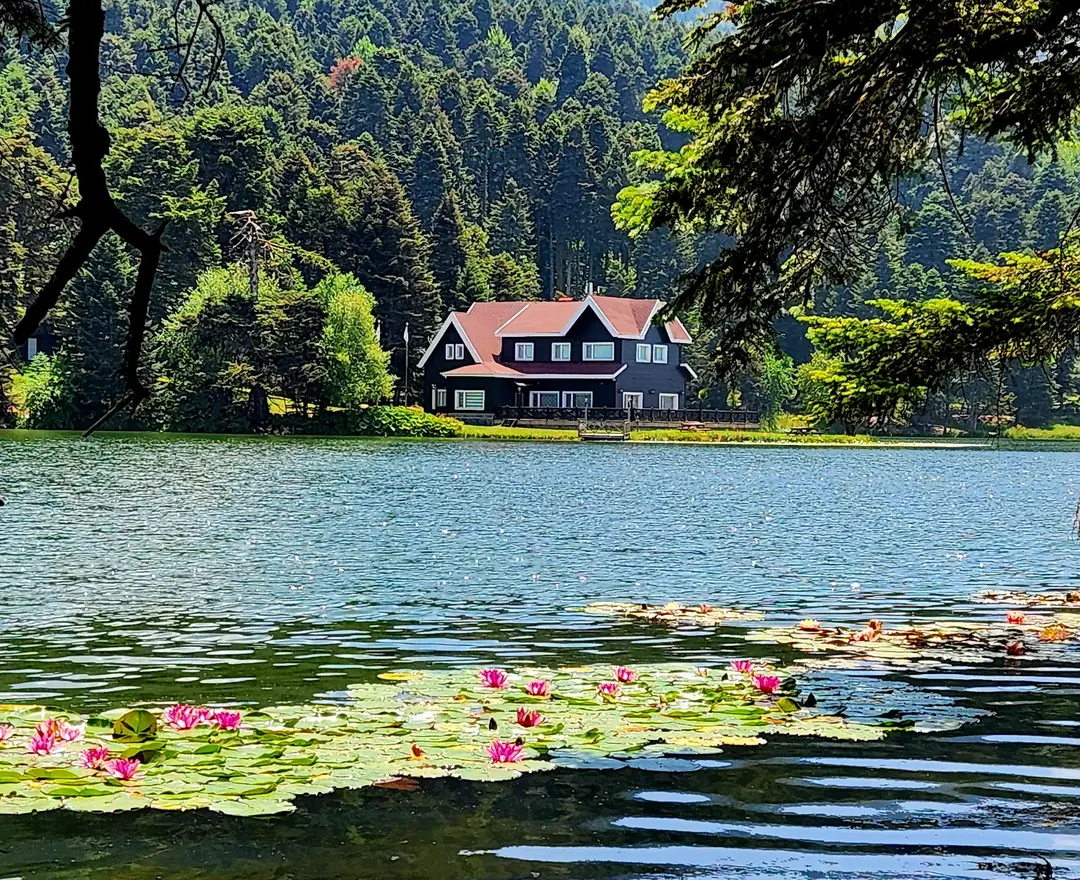 Gölcük Mesire Yeri