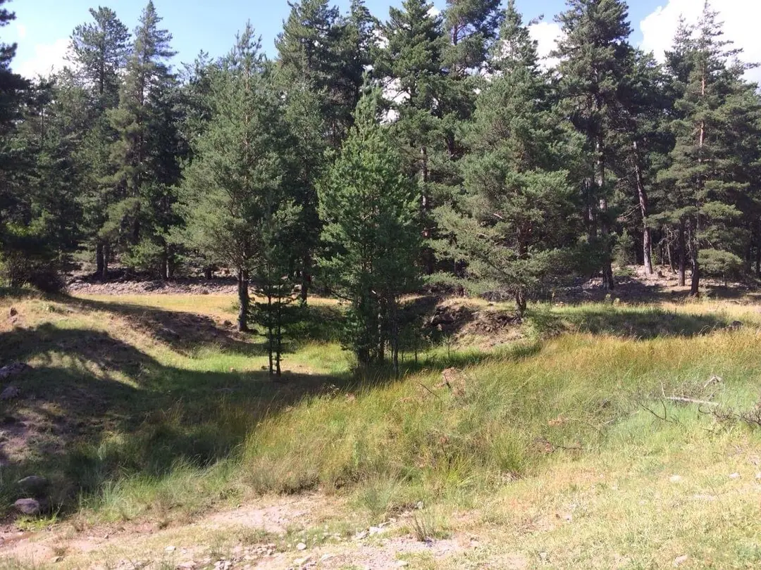 Karagöl Nationalpark (Naturpark) — Bolu — küçük resim 10