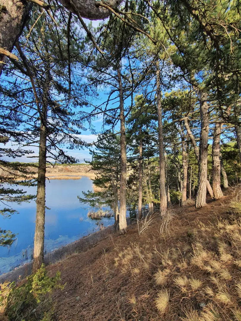 Karagöl Nationalpark (Naturpark) — Bolu — küçük resim 8