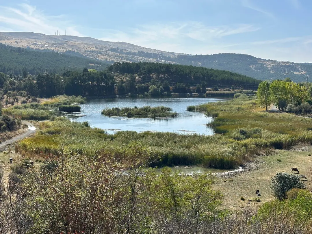 Karagöl Nationalpark (Naturpark) — Bolu — fotoğraf 1
