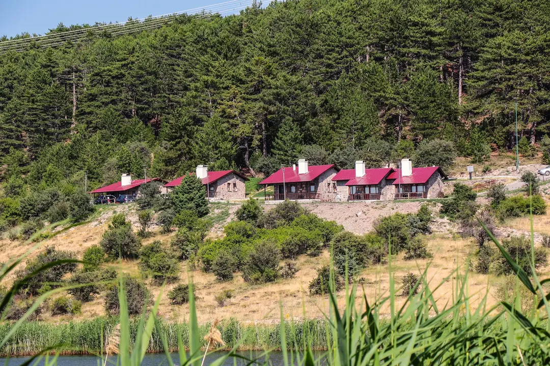 Karagöl Nationalpark (Naturpark) — Bolu — küçük resim 6
