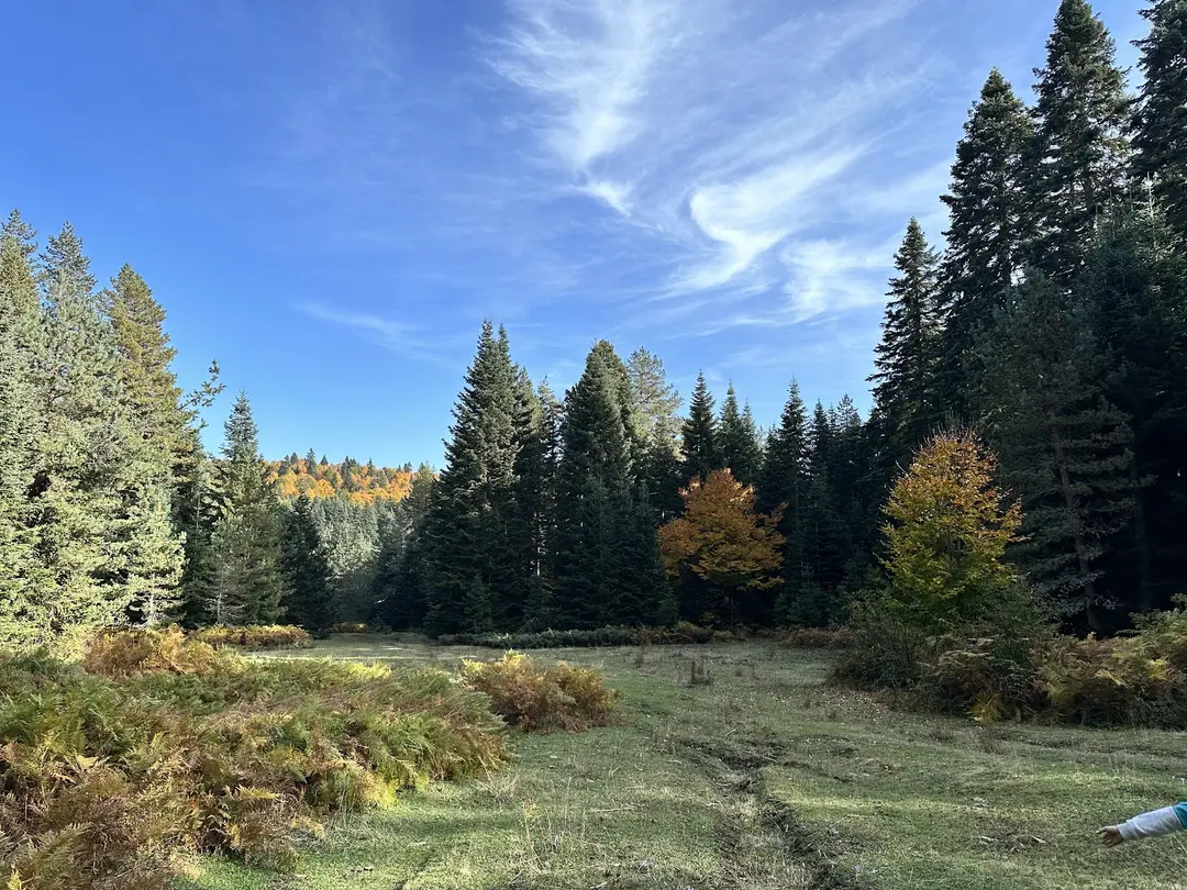 Pürenli Yaylası — Bolu — küçük resim 7