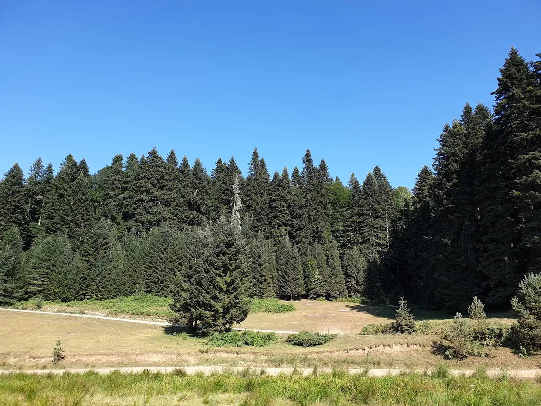 Pürenli Yaylası — Bolu — küçük resim 3