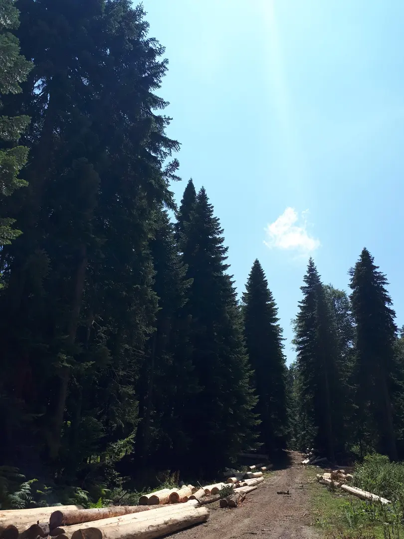 Mudurnu