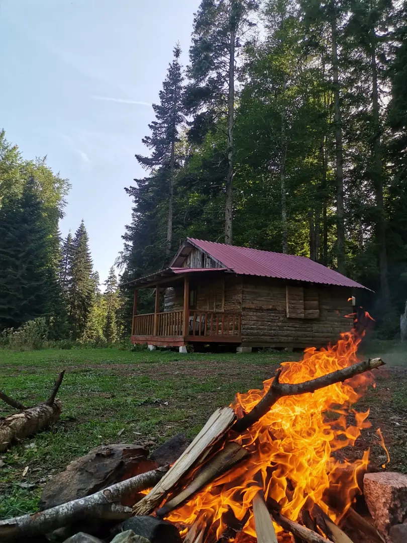 Pürenli Yaylası — Bolu — küçük resim 4