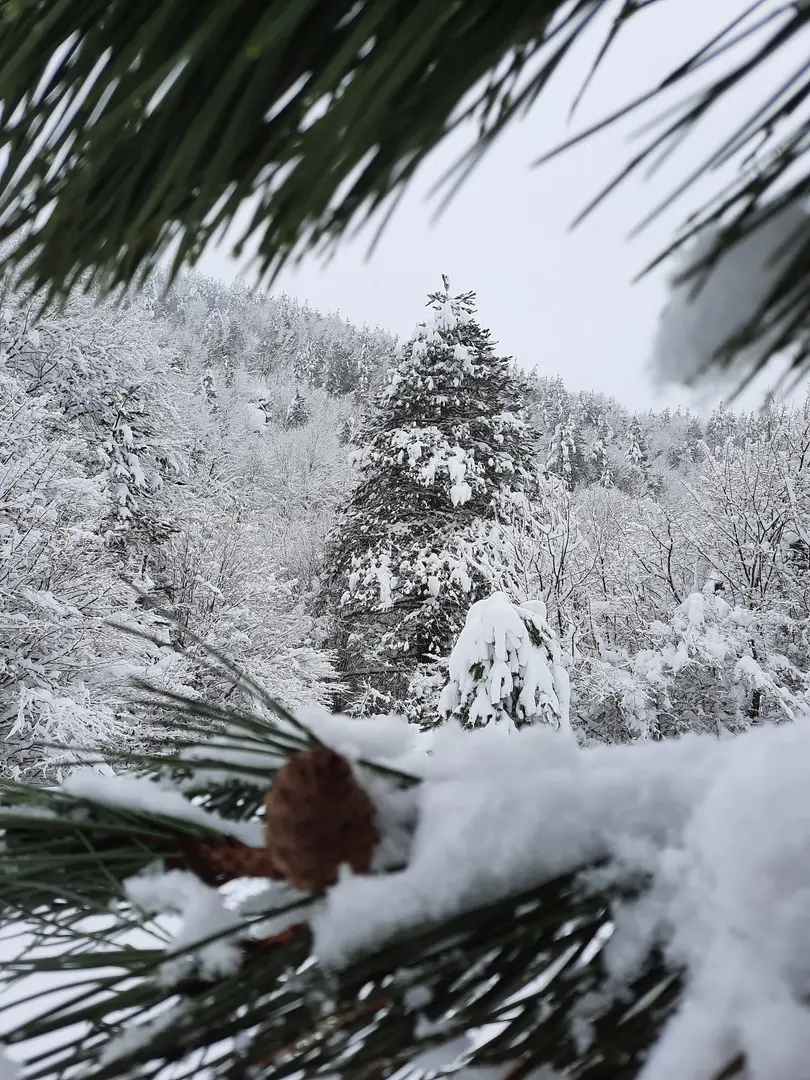 Şirinyazı Vadi Park — Bolu — küçük resim 9