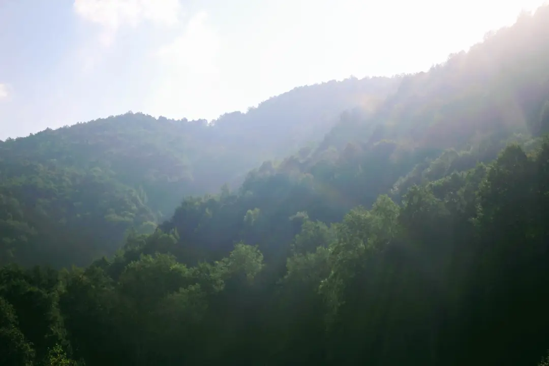 Güzeldere Wasserfall Naturpark — Düzce — küçük resim 8