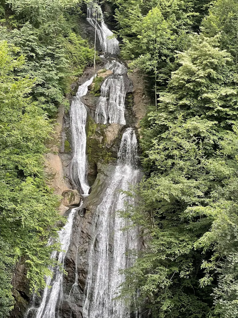 Güzeldere Wasserfall Naturpark — Düzce — küçük resim 6