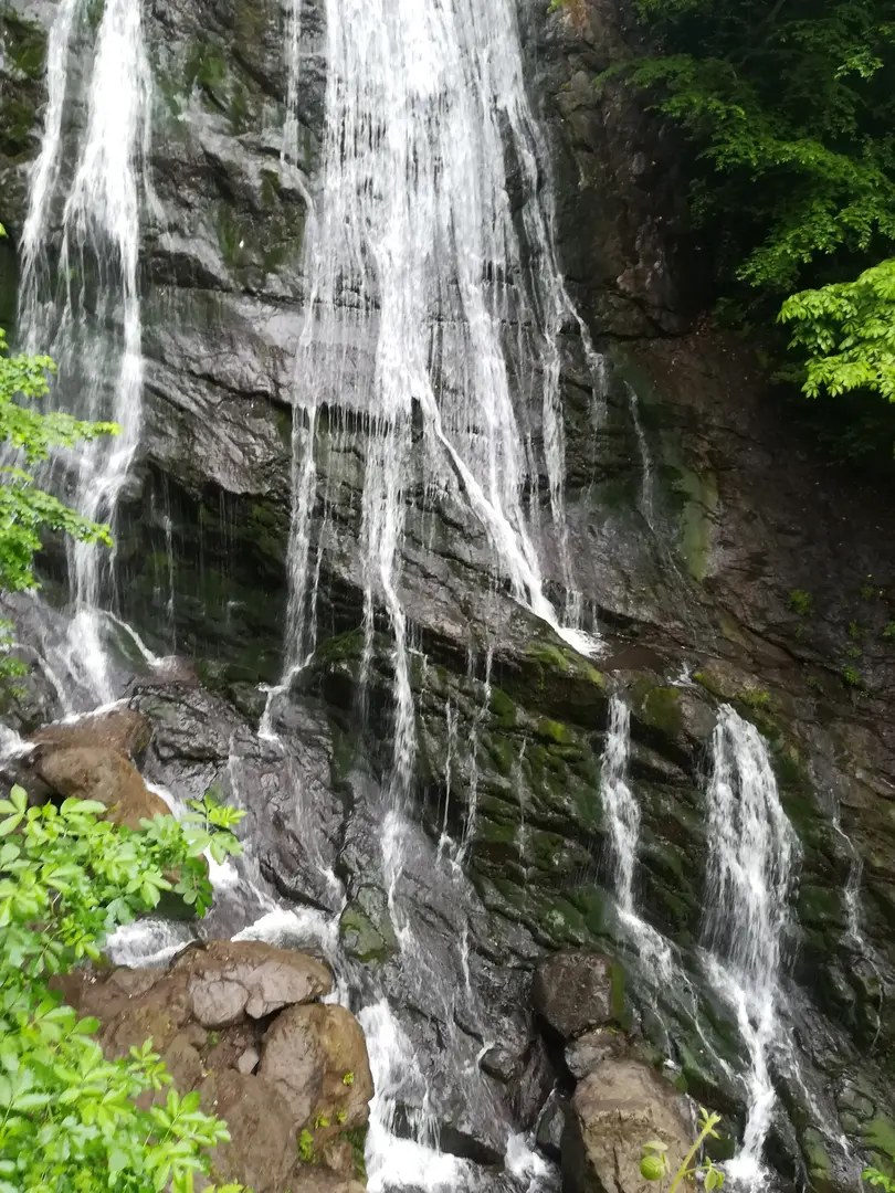 Güzeldere Wasserfall Naturpark — Düzce — küçük resim 10