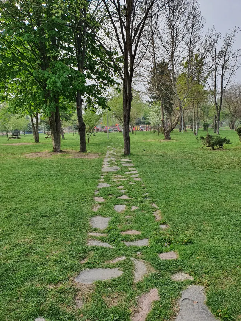 Atatürk Orman Parkı — Bolu — küçük resim 6