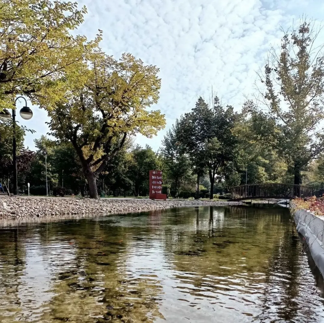 Atatürk Orman Parkı — Bolu — küçük resim 8