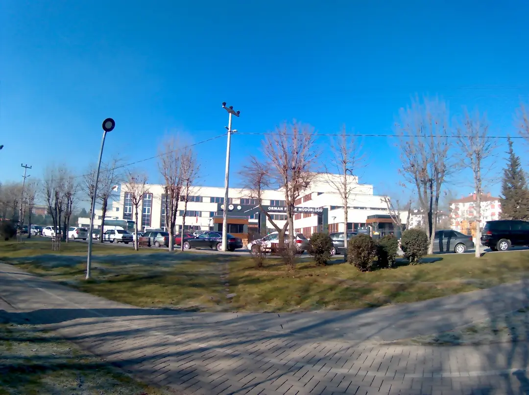 Atatürk Orman Parkı — Bolu — küçük resim 4