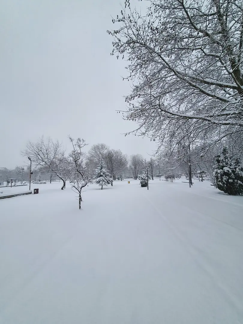 Atatürk Orman Parkı — Bolu — küçük resim 2