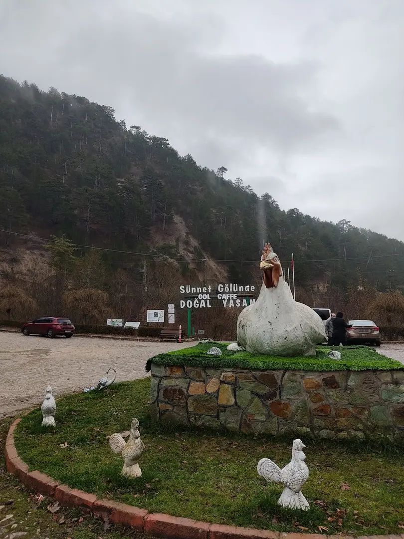 Sünnet Gölü Tabiat Parkı — Bolu — küçük resim 10