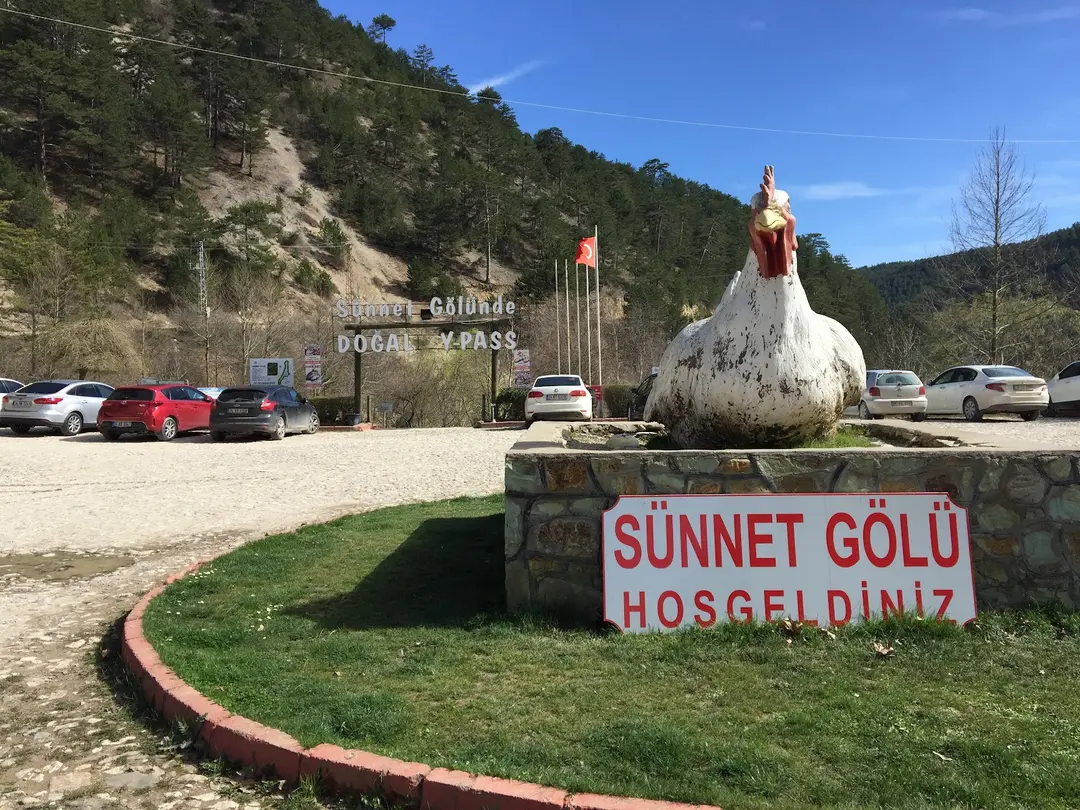 Sünnet Gölü Tabiat Parkı — Bolu — küçük resim 6