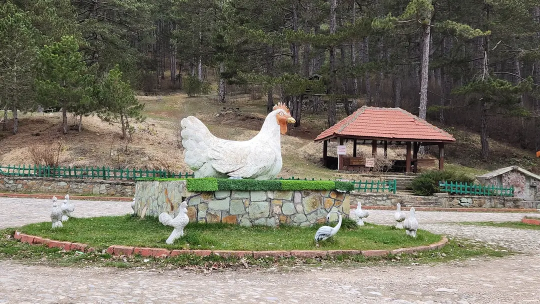 Sünnet Gölü Tabiat Parkı — Bolu — küçük resim 4