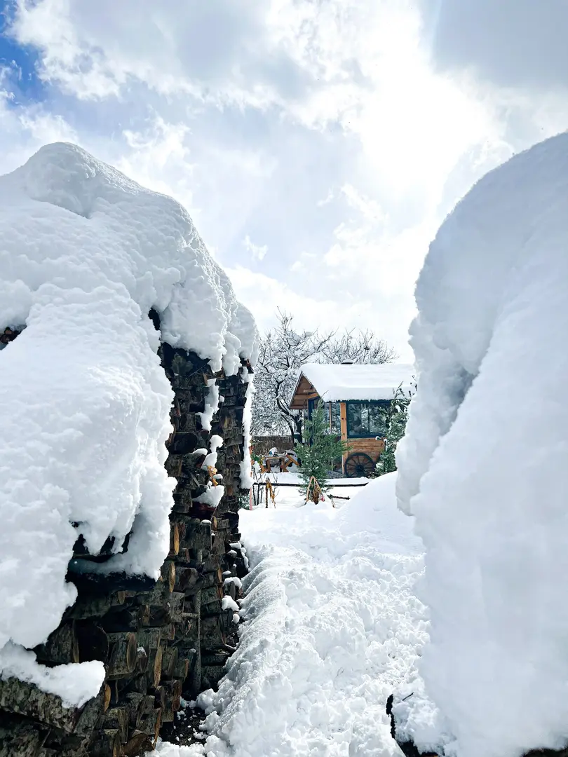 Bolu Wild Bungalov — Bolu — küçük resim 8